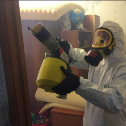 Уничтожение клопов в квартире. Шаболовская